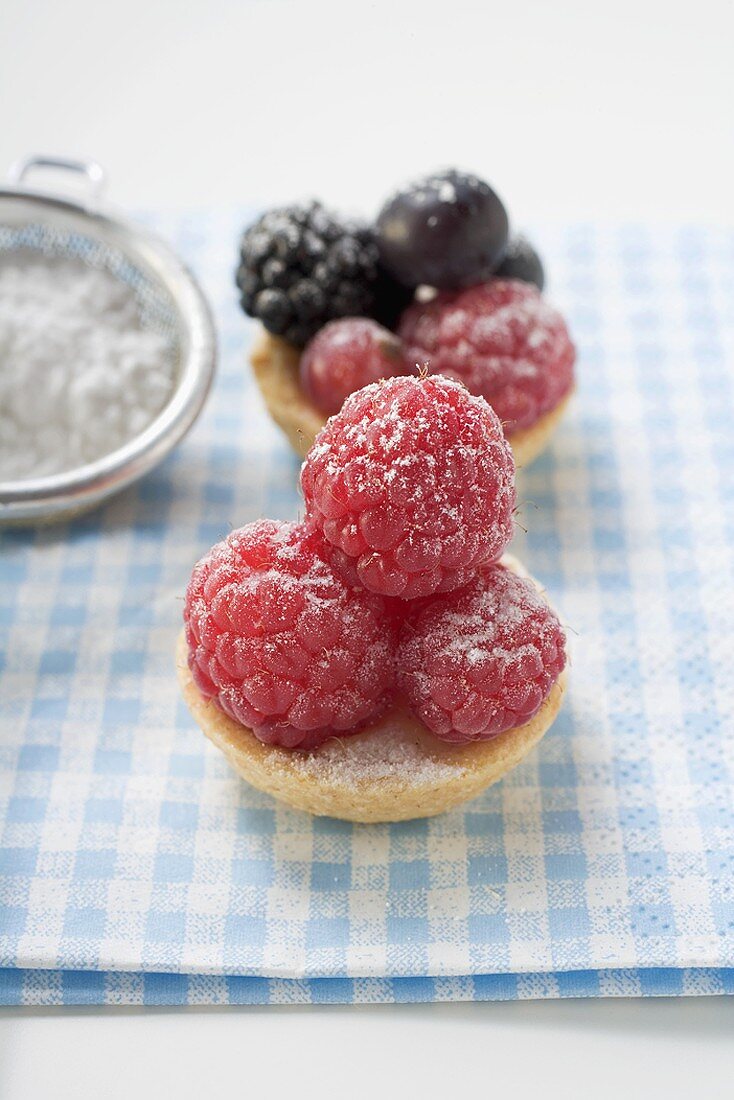 Two berry tarts with icing sugar