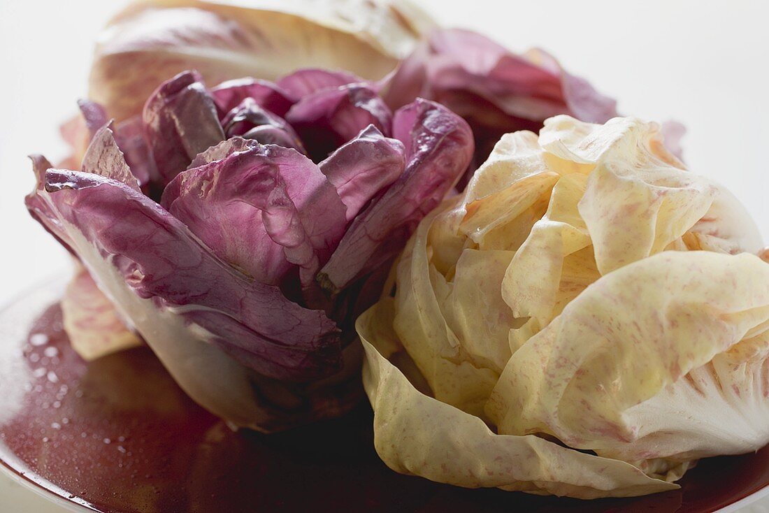 Different types of radicchio (close-up)