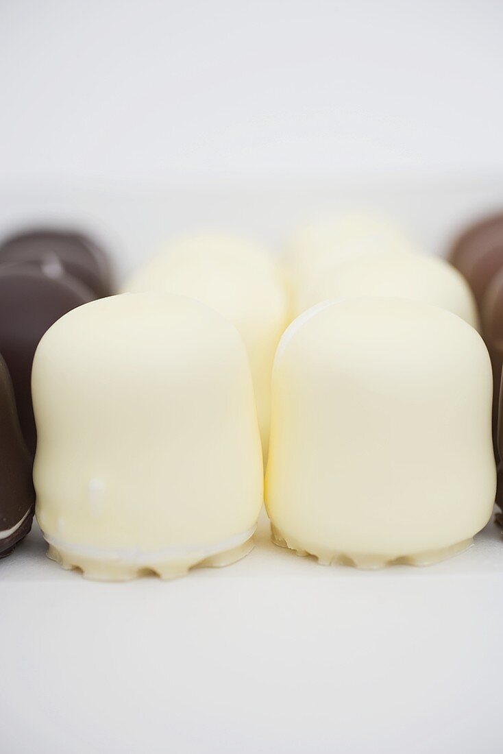 White and dark chocolate-covered marshmallow wafers