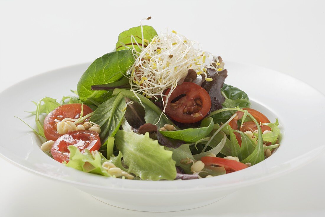 Blattsalat mit Sprossen, Tomaten und Pinienkernen