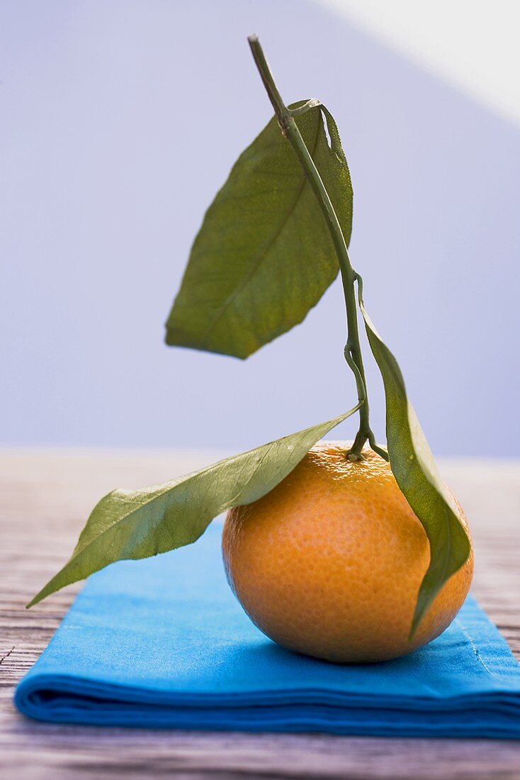 Clementine with leaves on blue cloth