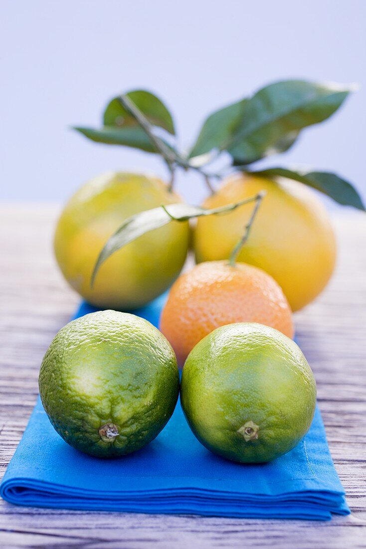 Oranges, clementine and limes on blue cloth