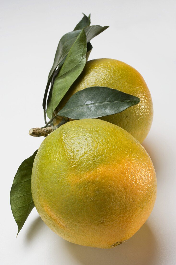 Two oranges with leaves