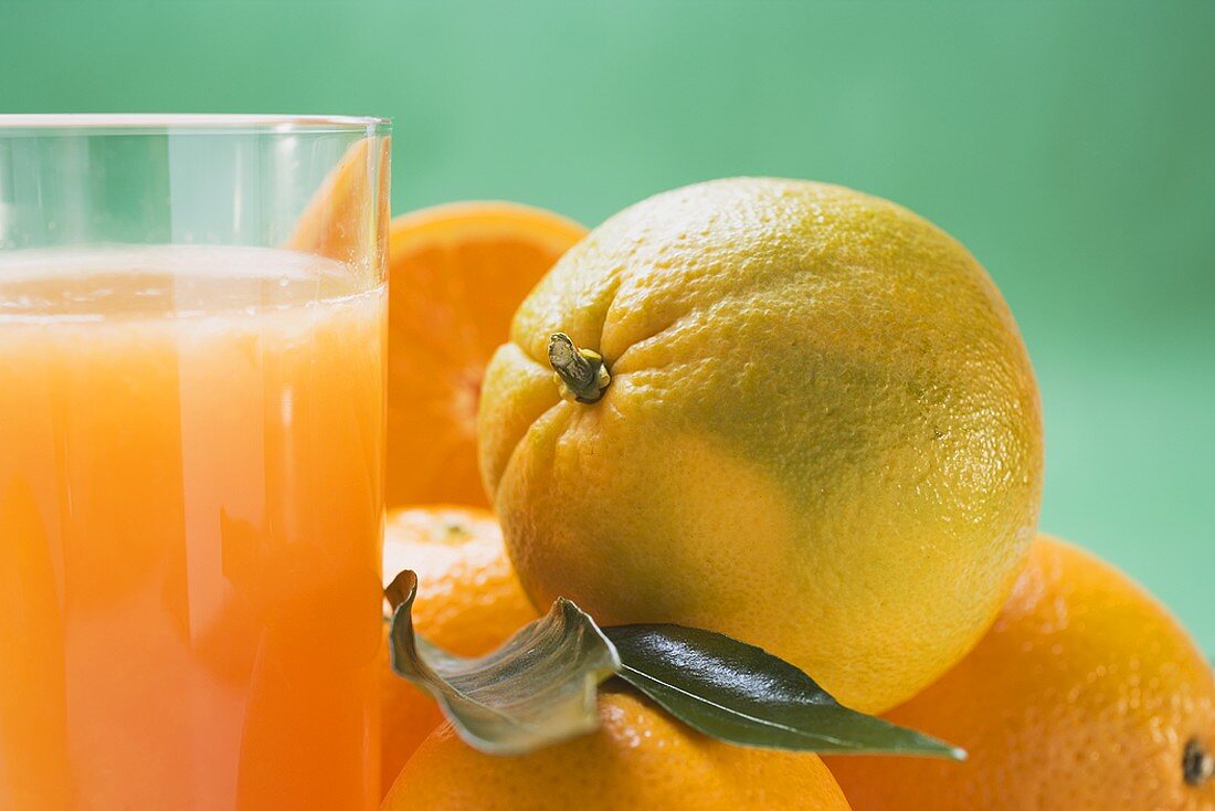 Glass of orange juice beside several oranges