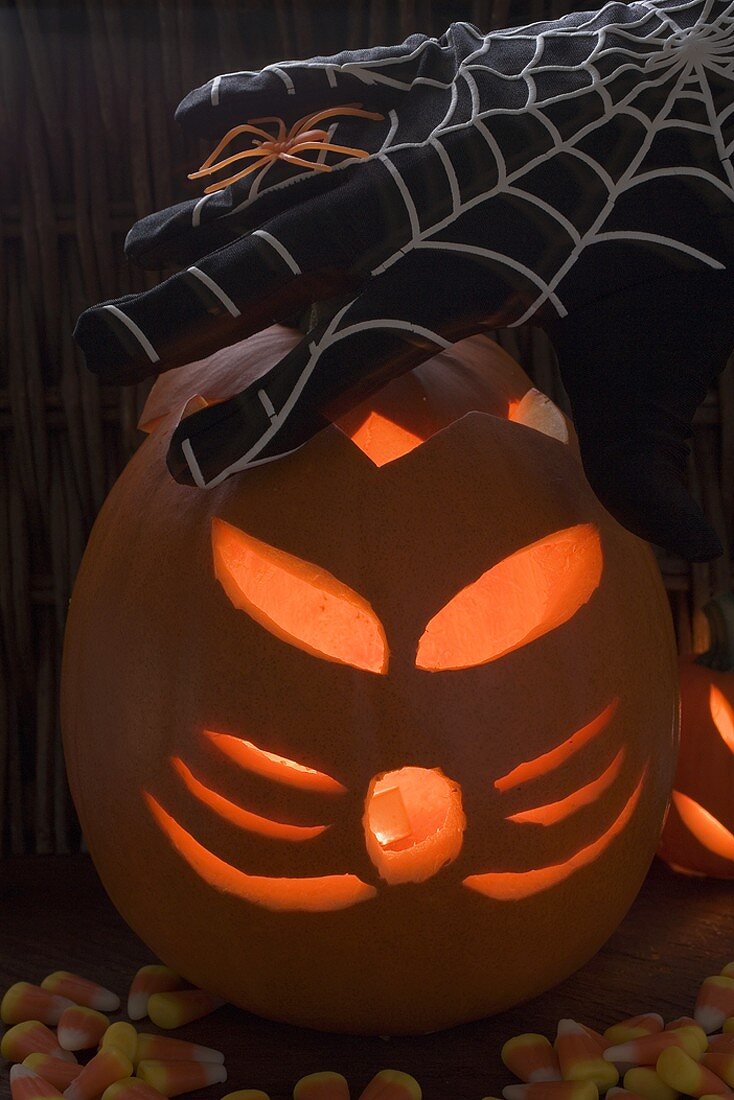 Halloween decorations: pumpkin lantern, cobweb glove, spider