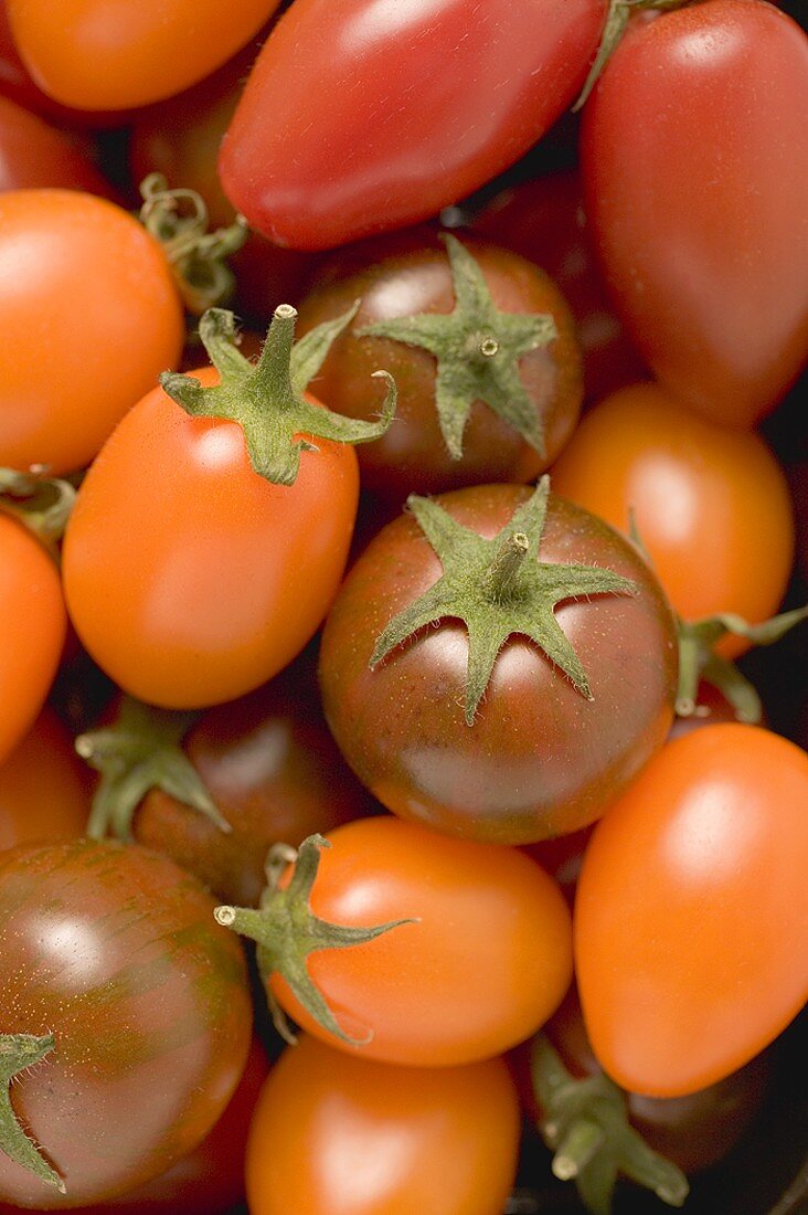 Verschiedene Tomaten (bildfüllend)