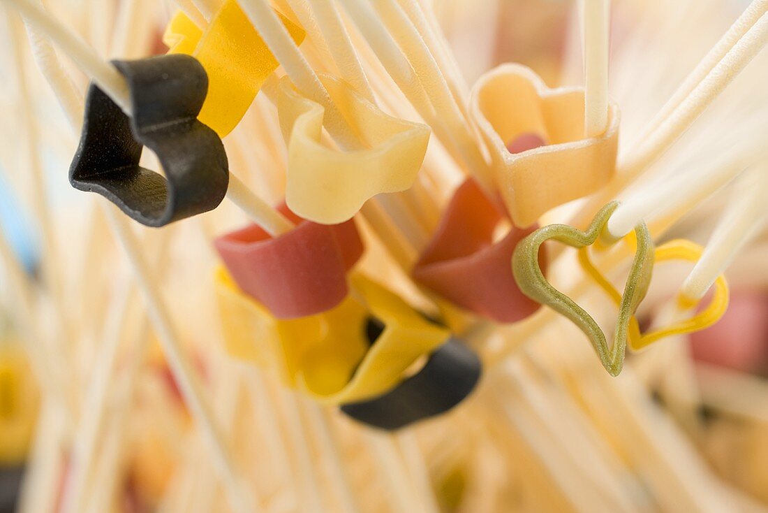 Various types of pasta (detail)