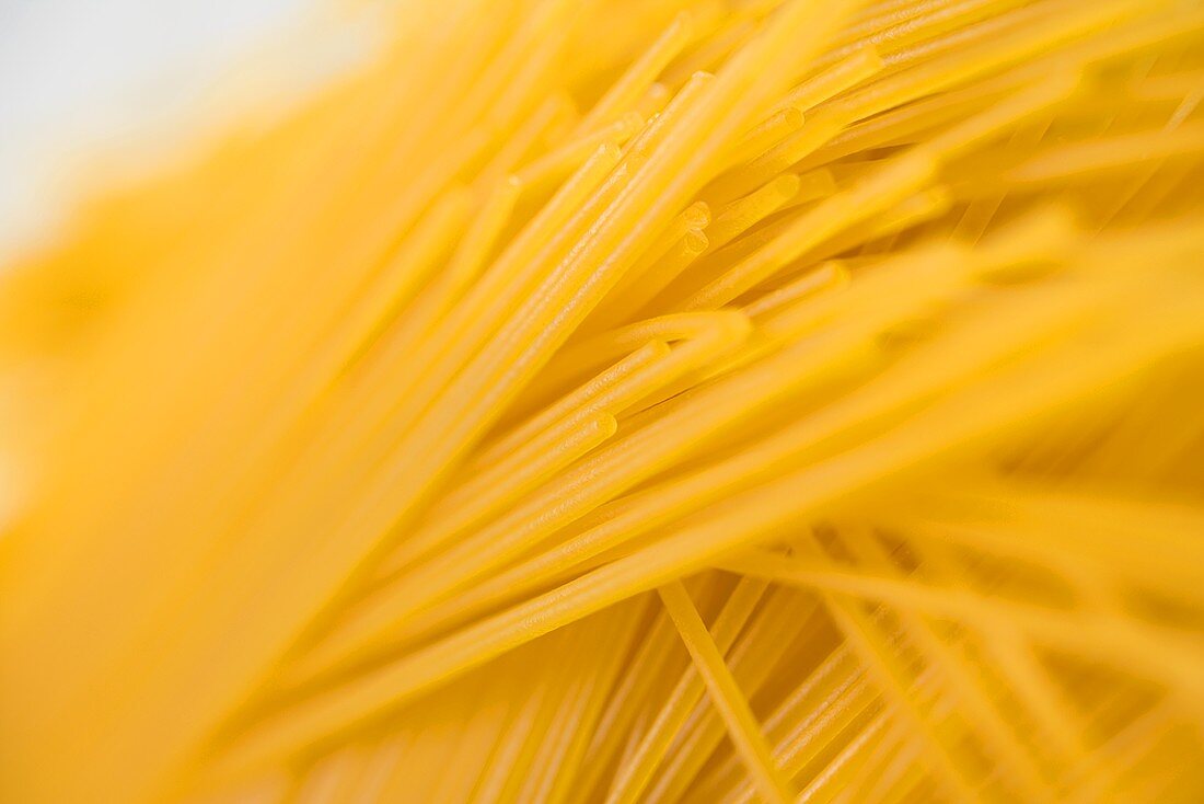 Spaghetti (detail)