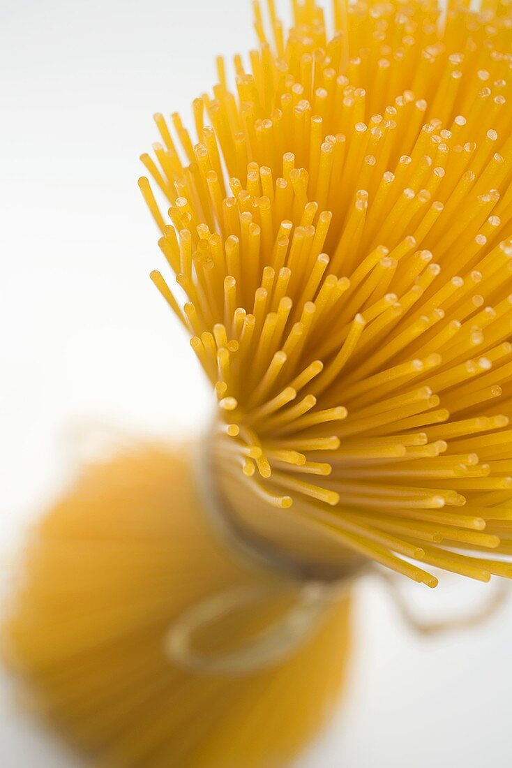 A bundle of spaghetti (overhead view)