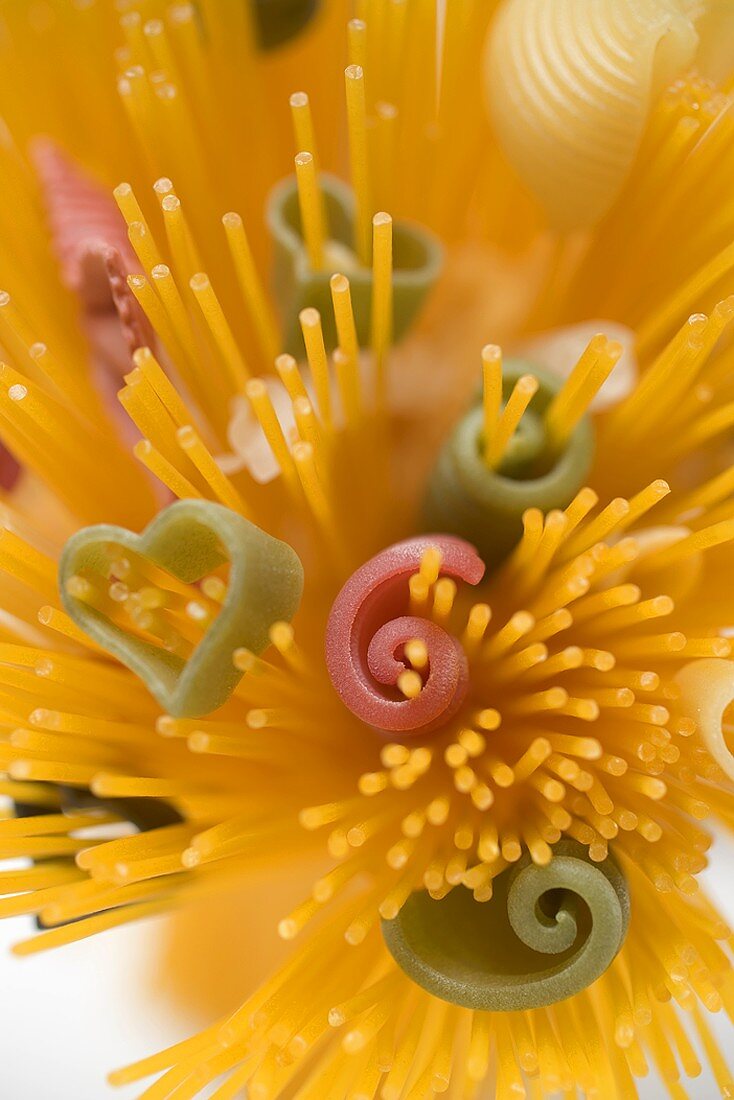 Spaghetti and coloured pasta