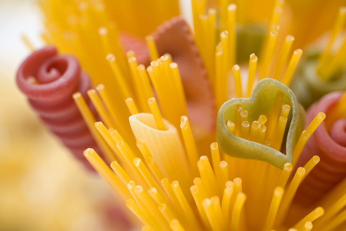 Spaghetti und bunte Nudeln (Ausschnitt)