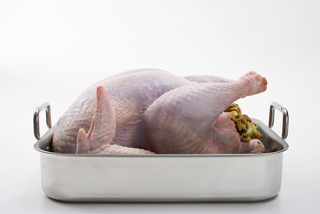 Raw stuffed turkey in roasting tin