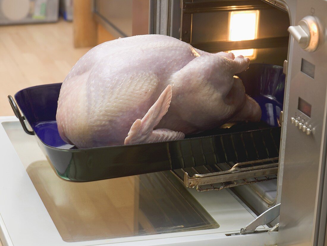 Putting stuffed turkey into the oven
