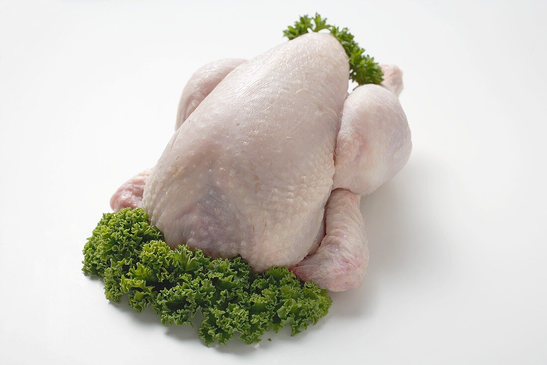 Frisches Huhn, garniert mit Petersilie
