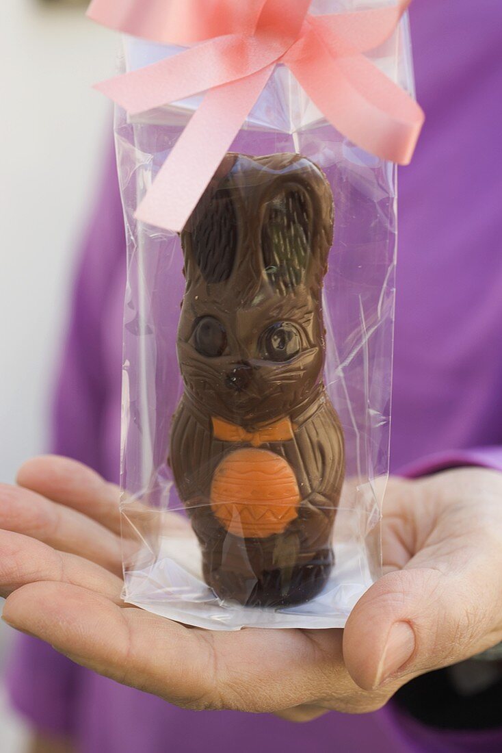 Hände halten Schokoladenosterhasen, als Geschenk verpackt