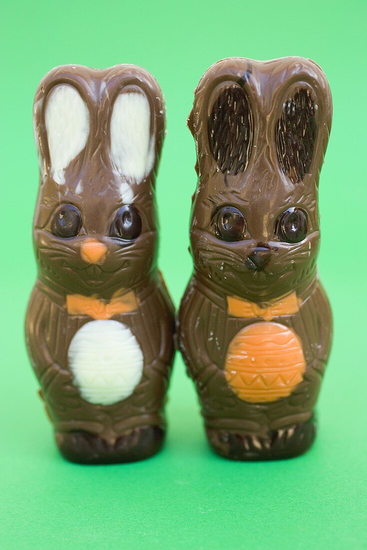 Two chocolate Easter Bunnies on green background