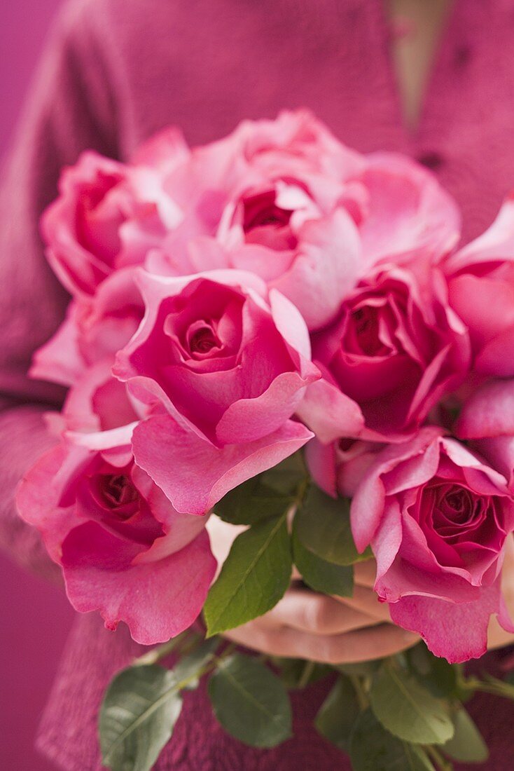 Hands holding bunch of pink roses