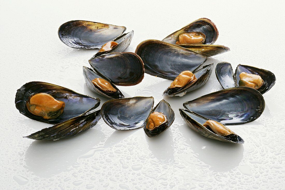 Mussels, opened, with drops of water