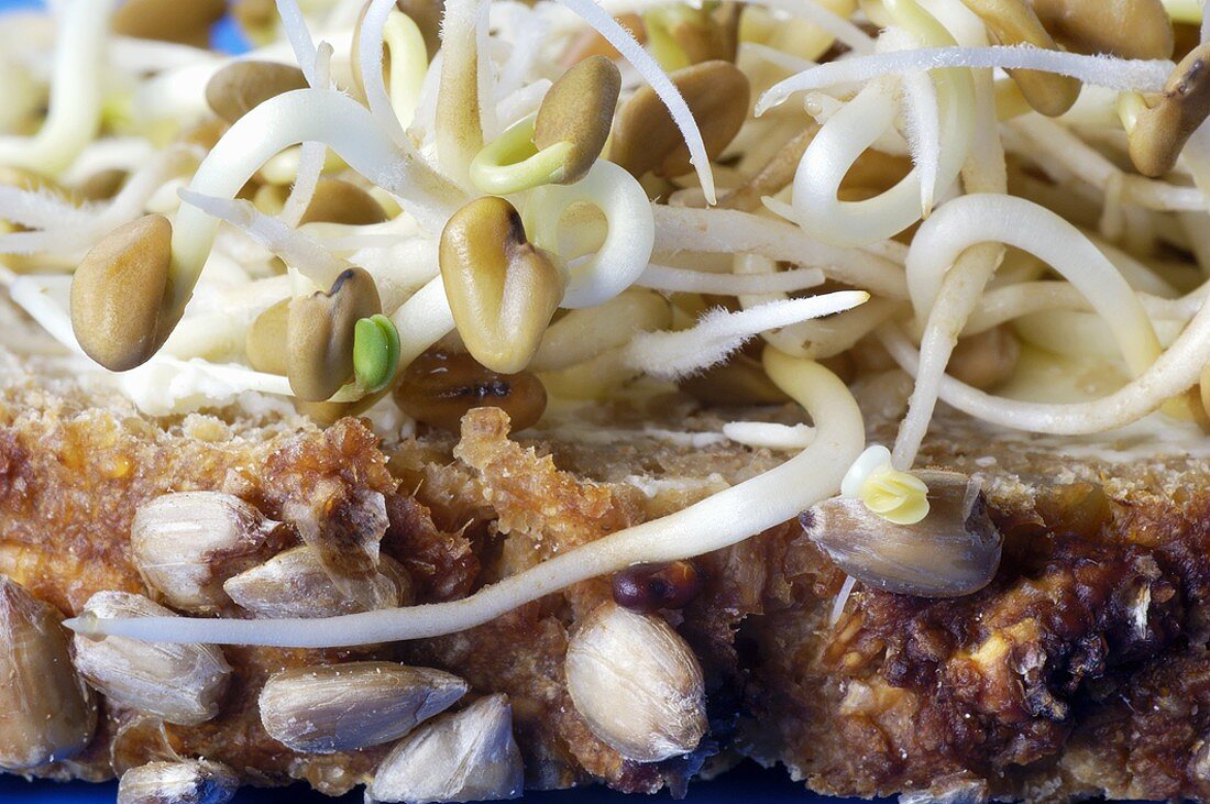 Vollkornbrot mit Bockshornkleesprossen (Close Up)