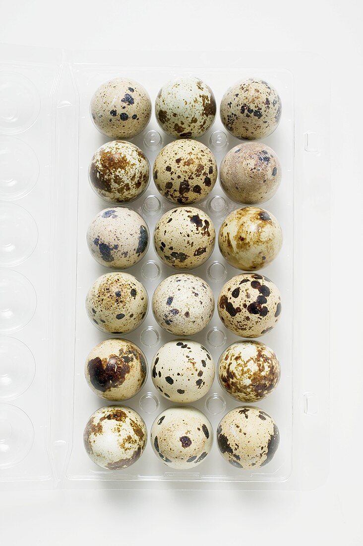 Quails' eggs in opened pack