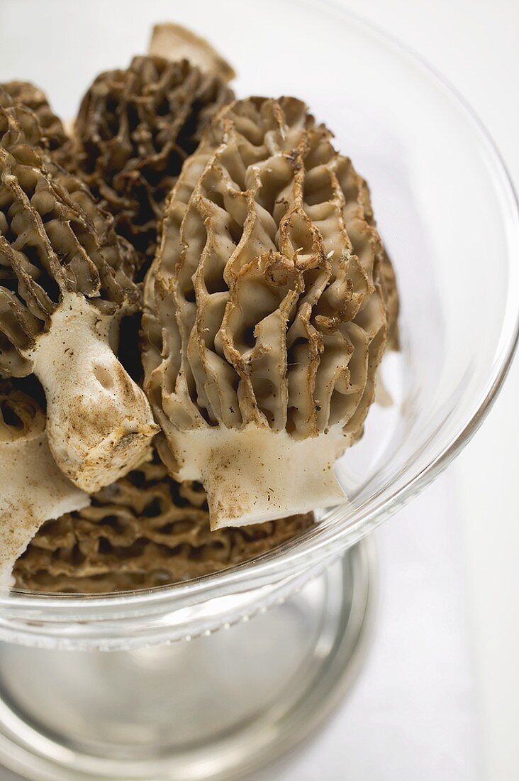 Several morels in glass bowl (close-up)