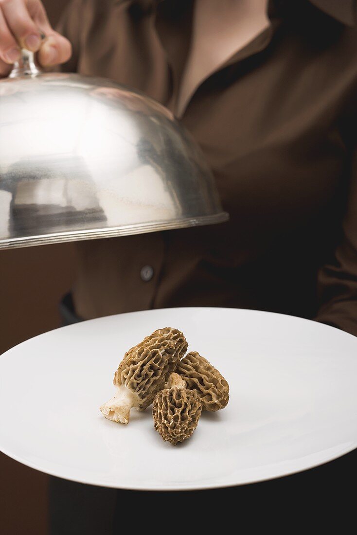 Woman serving fresh morels on plate with dome cover
