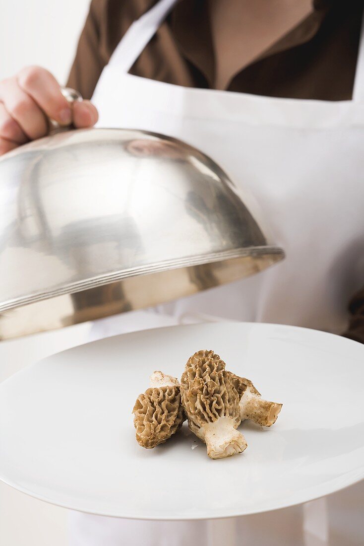 Woman serving fresh morels on plate with dome cover