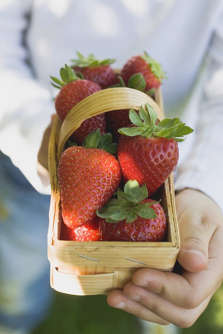 Person holding woodchip basket of fresh strawberries