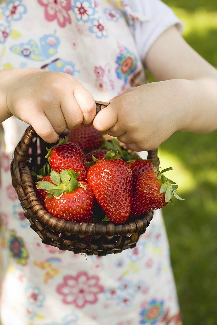 Kinderhände halten Korb mit frischen Erdbeeren