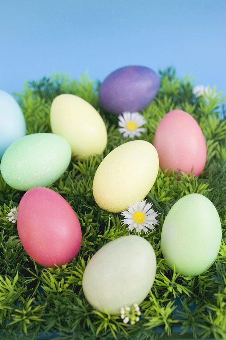 Easter eggs on grass with daisies