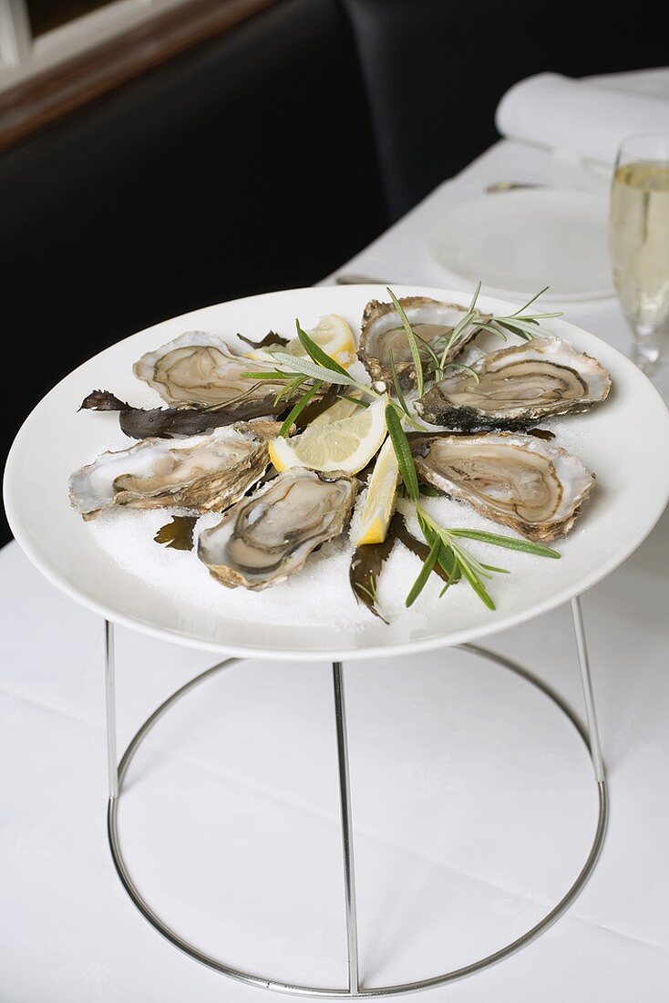 Fresh oysters with lemon on table in restaurant