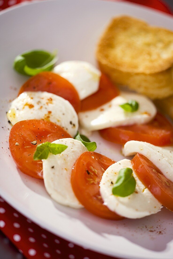 Tomaten mit Mozzarella und Basilikum (Close Up)