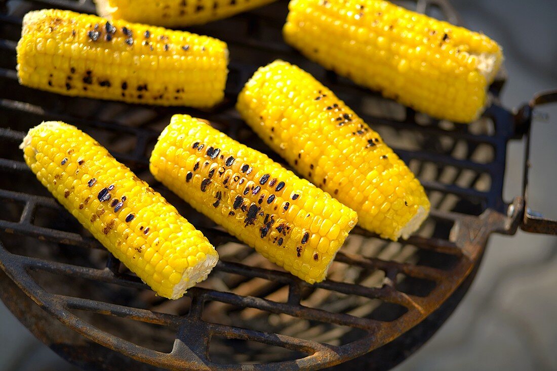 Corn on the cob on barbecue