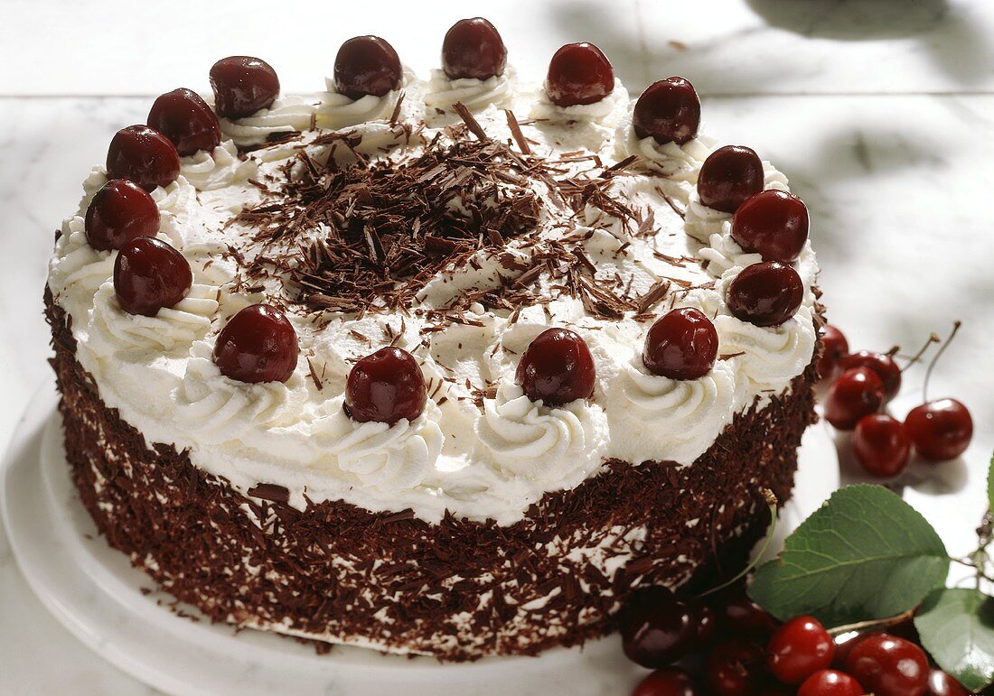 Black Forest cherry gateau