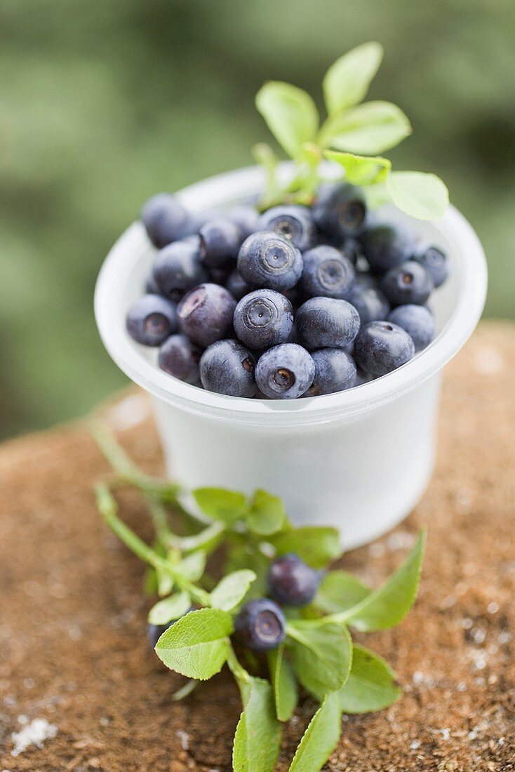 Blueberries in plastic tub