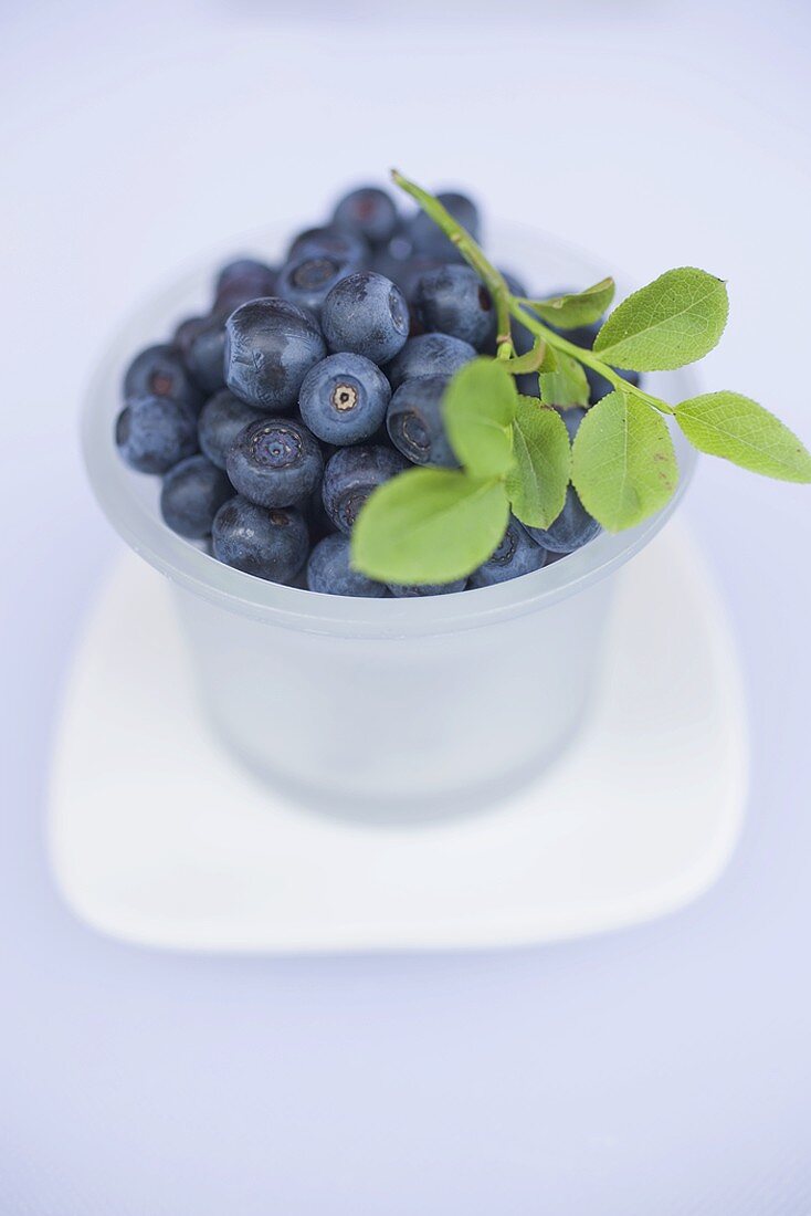 Blueberries in plastic tub