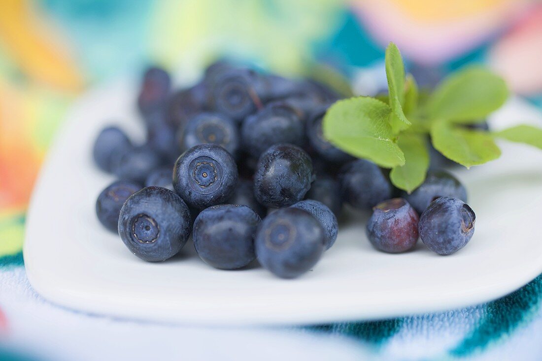 Blueberries with leaves on plate