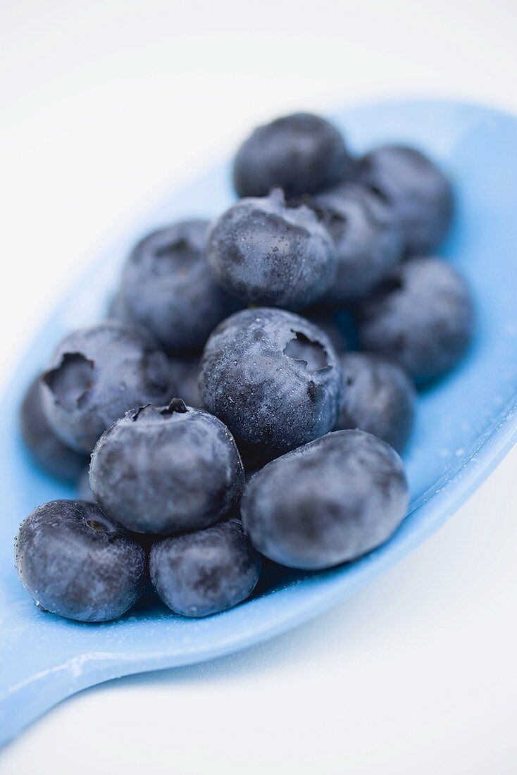 Blueberries on blue spoon