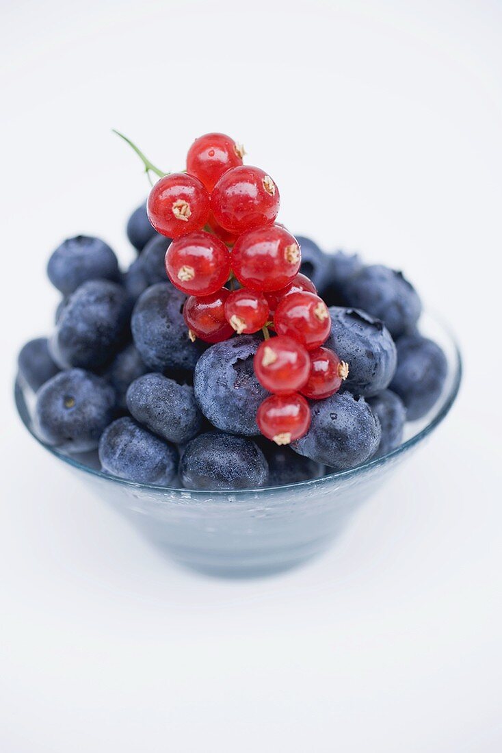 Blueberries and redcurrants in glass dish