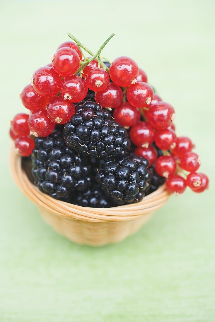 Brombeeren und rote Johannisbeeren im Korb