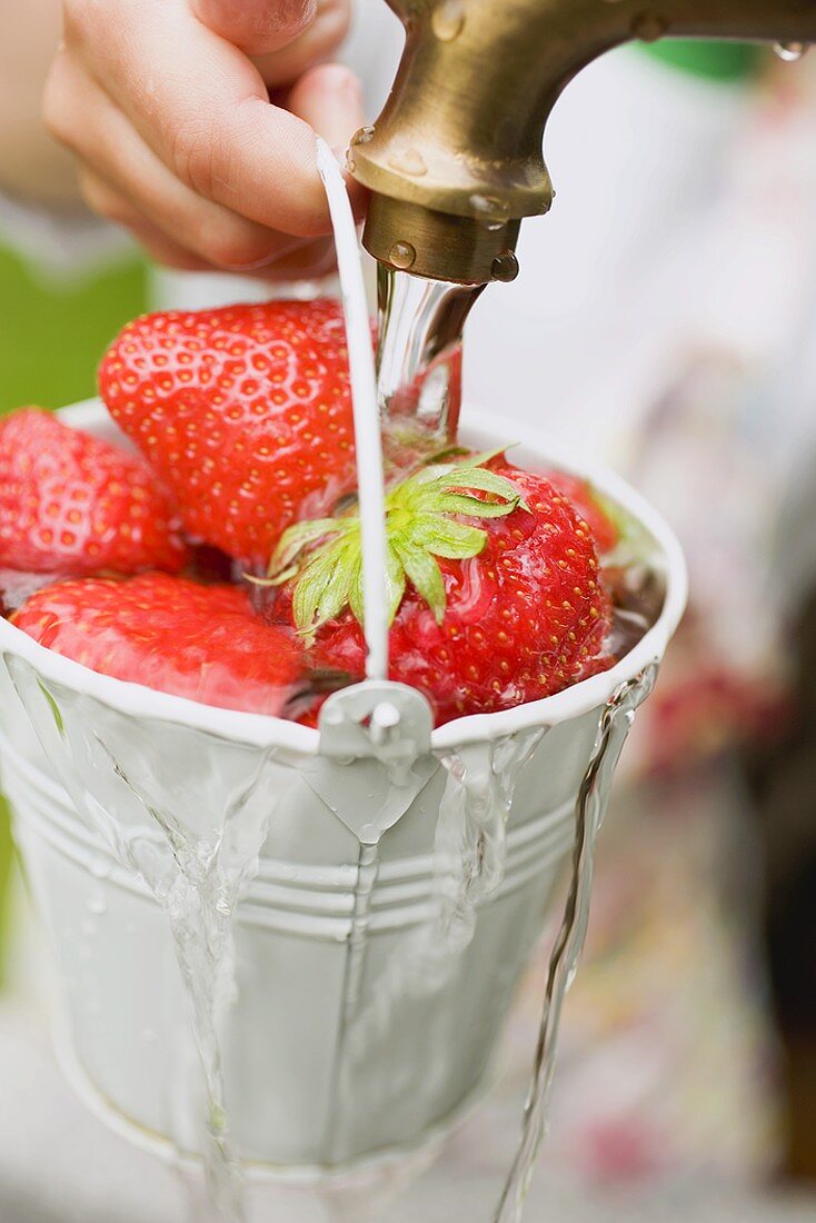 Erdbeeren im Eimer waschen