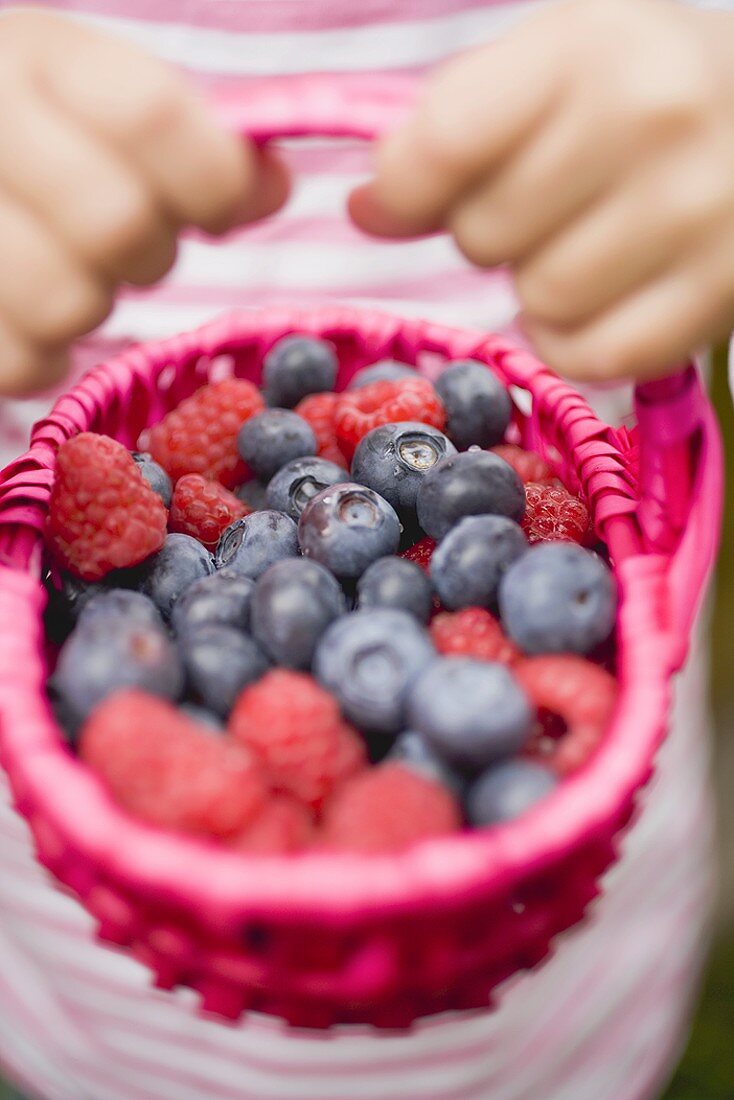 Hände halten Korb mit Heidelbeeren und Himbeeren