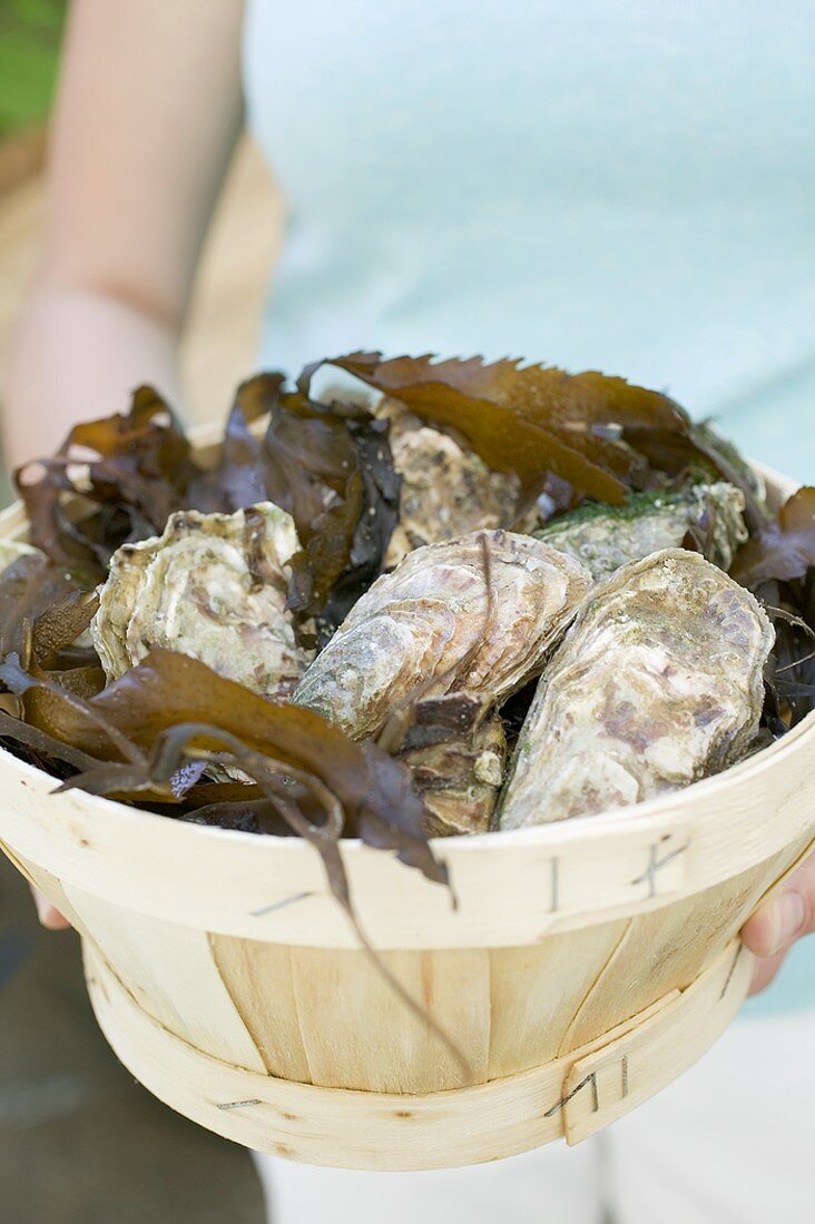 Woman holding basket full of fresh oysters