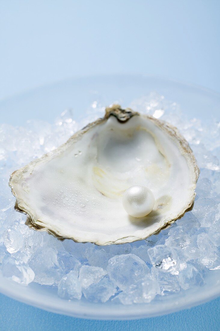 Pearl in oyster shell on crushed ice