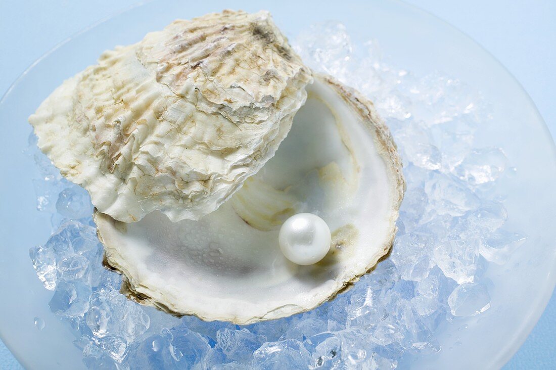 Perle in Austerschale auf zerstossenem Eis