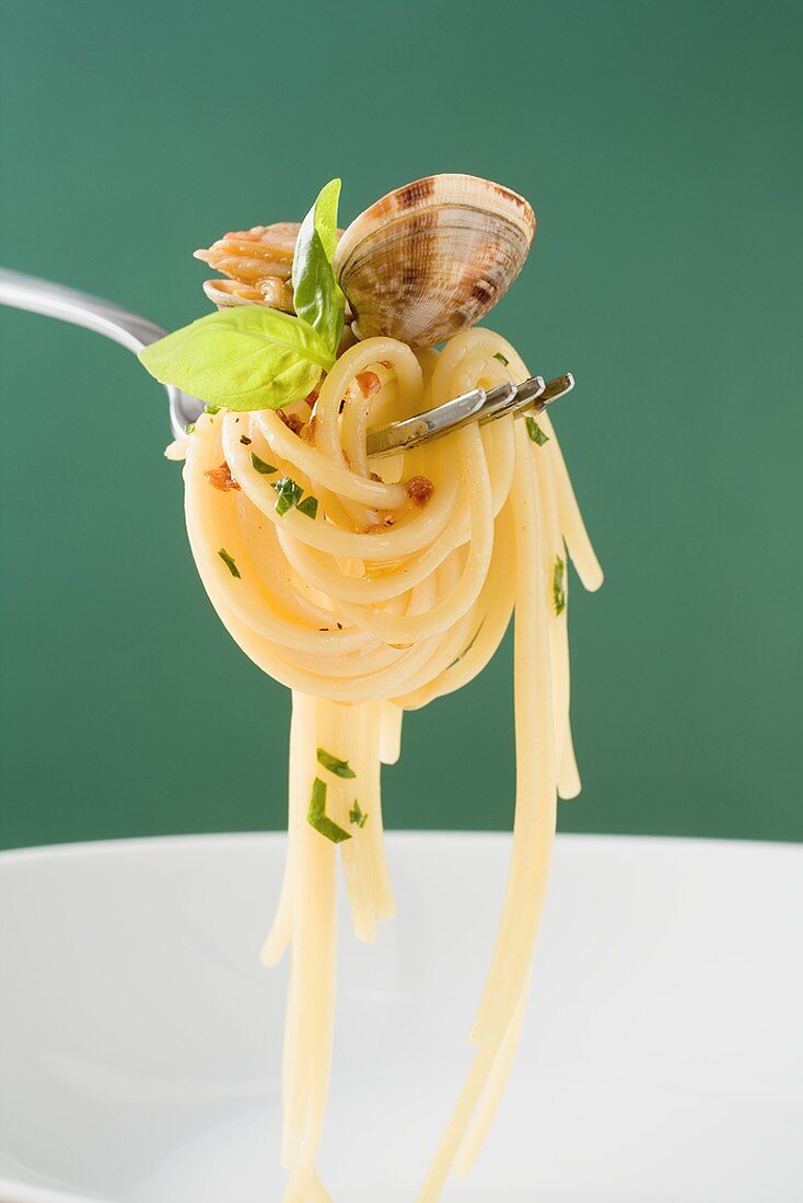 Spaghetti mit Venusmuschel auf Gabel