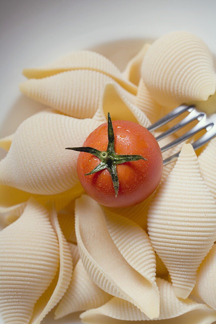 Pasta shells with cherry tomato