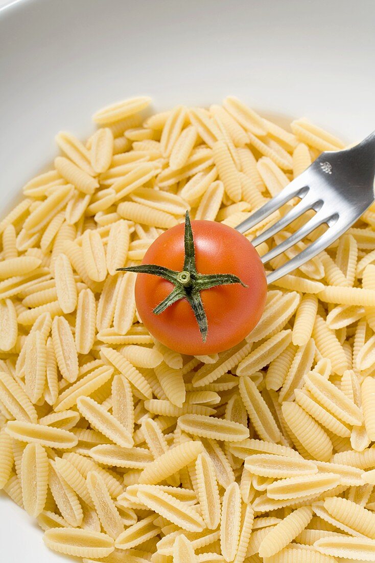 Pasta (gnobetti) with cherry tomato and fork