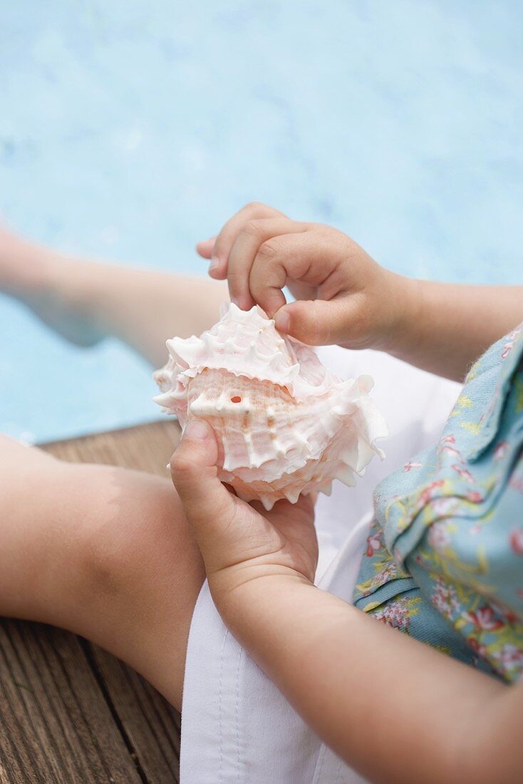 Child holding sea shell on edge of swimming pool