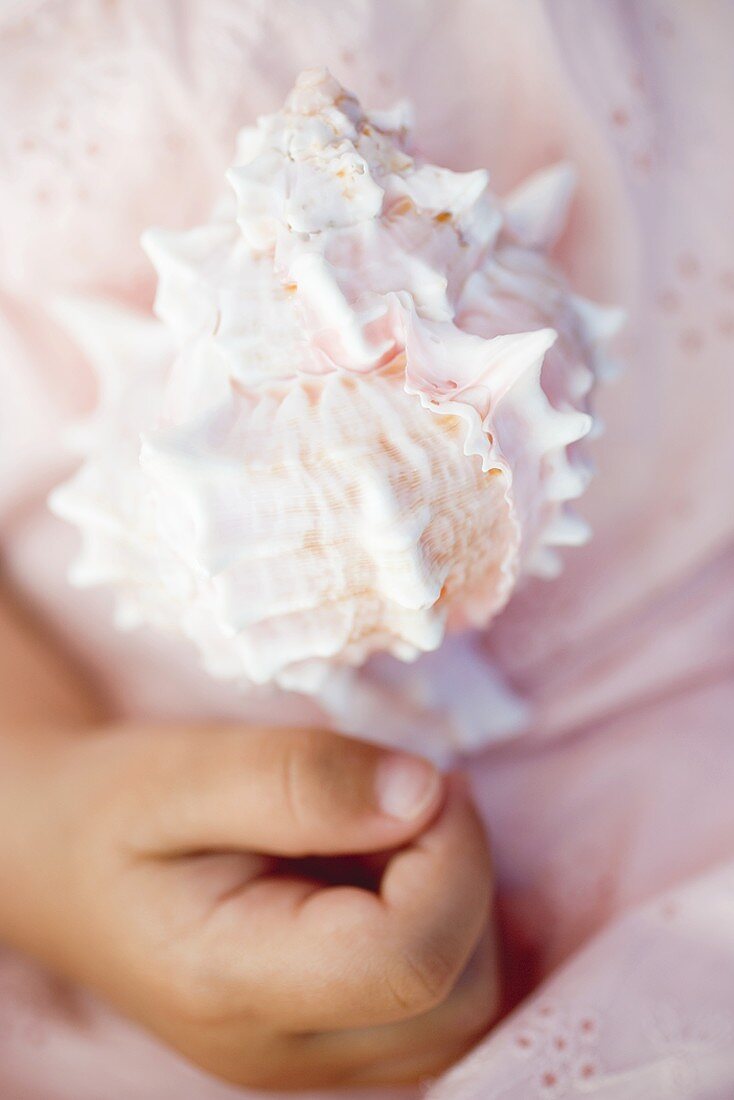 Child's hand holding sea shell